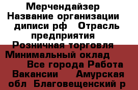 Мерчендайзер › Название организации ­ диписи.рф › Отрасль предприятия ­ Розничная торговля › Минимальный оклад ­ 25 000 - Все города Работа » Вакансии   . Амурская обл.,Благовещенский р-н